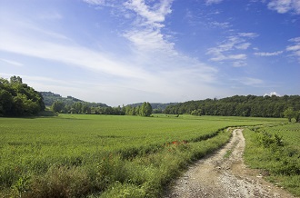 colline moreniche nei pressi di Montichiari